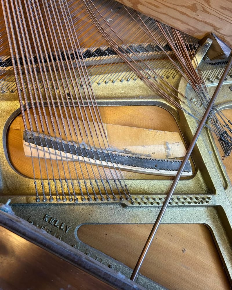 Close-up of bass strings crossing the cast-iron plate and soundboard of a grand piano, with the Kelly plate mark